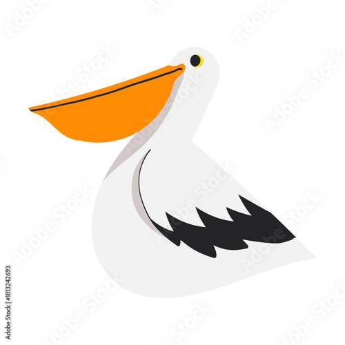 Illustration of a White Pelican Bird