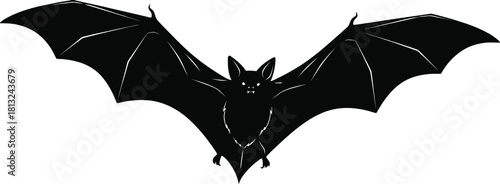 Silhouette of a bat with wings spread isolated on white background.