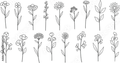 Hand drawn floral elements collection, black and white wildflower illustrations, botanical line art sketches, decorative plants, stems, and leaves design set.