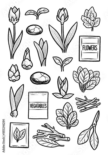 Grunge Botanical and Gardening Icons Set. Hand-Drawn Sketchy Black and White Elements, including Flowers, Sprouts, Seed Packets, Twigs, and Rustic Tools Vector Collection.