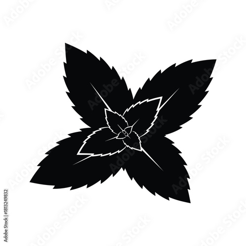 Black silhouette of mint leaves on a white background vector