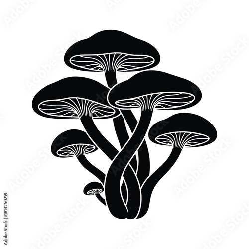 Black silhouette cluster of mushrooms with detailed gills on white background fungi black and white