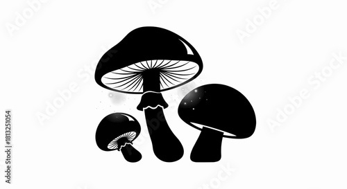 Vector illustration of black and white illustration of three dark mushrooms with visible gills isolated on a white background