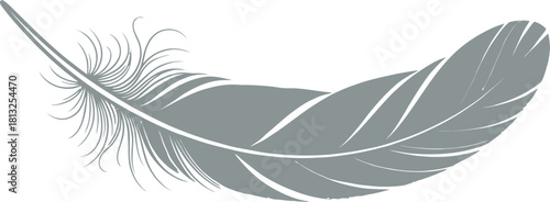 Gray feather isolated on white background, a symbol of lightness.
