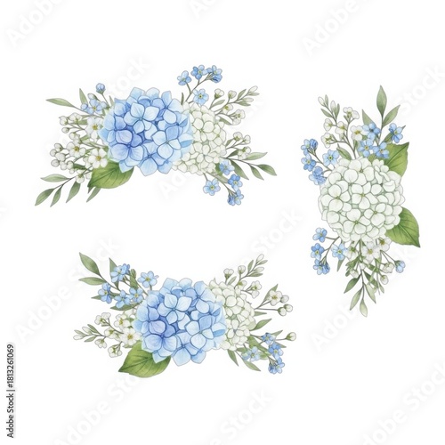 Delicate watercolor hydrangea flower arrangements in blue and white isolated on white background