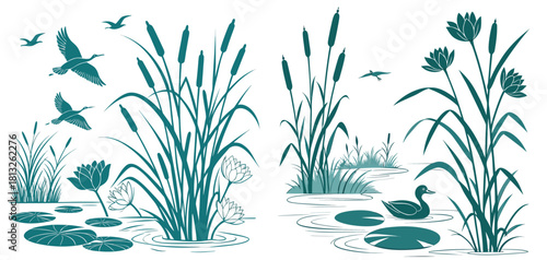 Serene Wetlands: A tranquil illustration showcases a wetland scene with graceful cattails, water lilies, and a lone duck amidst the clear water.