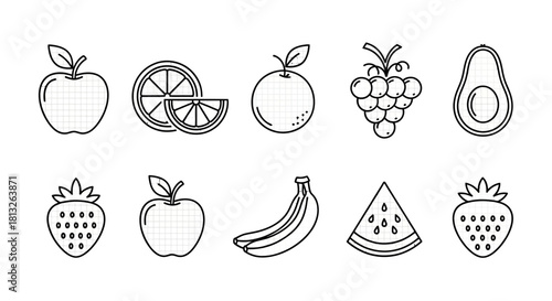 Collection of various fruits in outline style with grid texture inside