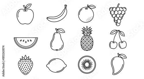 Collection of fruit icons in outline style on white background