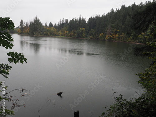 Autumn River in the Oregon Forrest