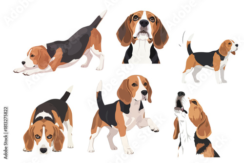 Beagle Dog Isolated On White Background Flat Vector Illustration