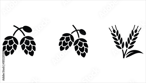 Black silhouette icons of hops and wheat ears on white background hop cones barley