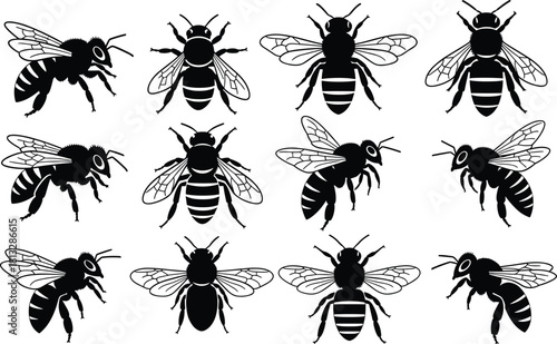 Honey Bee and Bumble Bee Silhouettes Vector Set, Flying and Walking Insects, Detailed Honeycomb Worker, Apiculture, Ecology, and Pollination Graphic Illustration, Black and White, Isolated.