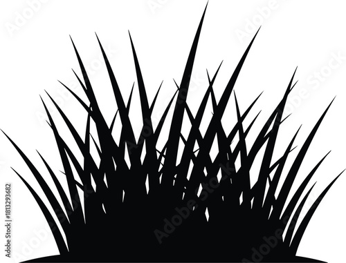 Black silhouette of dense grass blades on white background nature