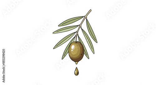 A green olive attached to a branch with light green leaves, dripping a single drop of golden oil.