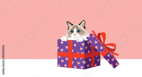 A cute Ragdoll cat peeks happily from a vibrant purple gift box with pink hearts and a red bow, creating a charming and heartwarming surprise.