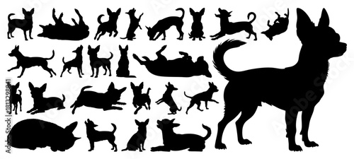 Chihuahua Dog Silhouette Vector Collection on a Transparent Background