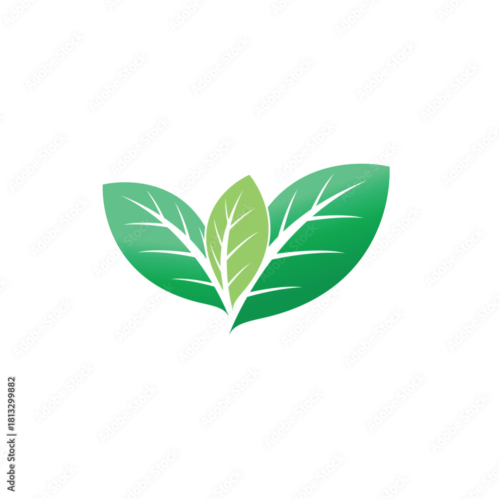 Naklejka premium Green Leaf logos vector and symbol