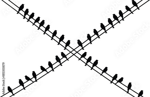Silhouette of Birds Sitting on Electrical Wires Vector Illustration, Flock of Small Perched Birds Forming a Symmetric X Shape, Communication Infrastructure, Nature, and Freedom Graphic, Isolated.