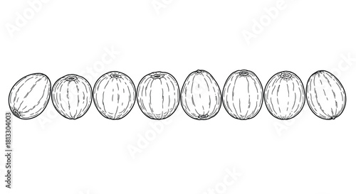 Seamless pattern with hand drawn plums isolated on white background