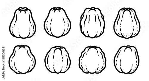Collection of chayote squash outlines isolated on white background