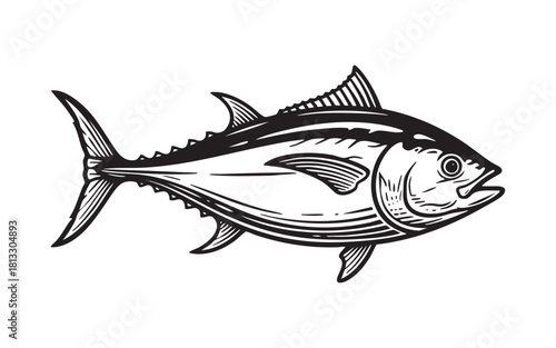 tuna fish Engraving Vector Illustration