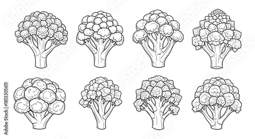 Collection of broccoli heads isolated on white background in sketch style