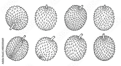 Hand drawn soursop fruits isolated on white background in different angles
