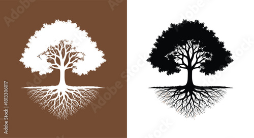 Black and white tree of life silhouettes with intricate root systems symbolizing strength growth and connection with nature.