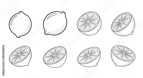 Hand drawn lemon fruit set isolated on white background, vector illustration