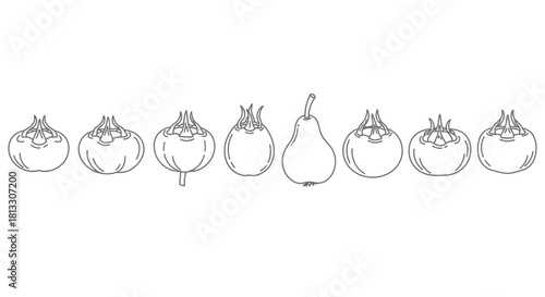 Hand drawn medlar and pear fruits isolated on white background, vector illustration