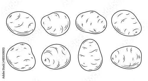 Hand drawn potato vector set isolated on white background, food illustration
