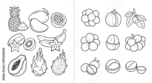 Hand drawn sketch of tropical fruits isolated on white background, vector set