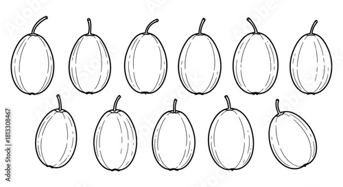 Hand drawn passion fruits isolated on white background in different positions