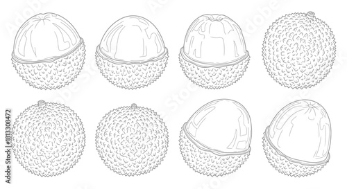 Set of eight lychee fruits isolated on white background