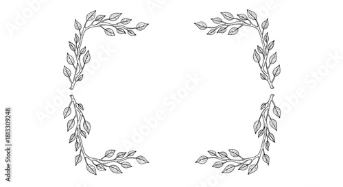A square frame composed of four hand-drawn leafy branches creating a delicate and rustic border for designs on white background.