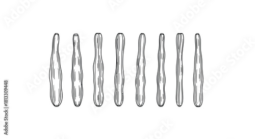 Hand drawn ice stick isolated on white background, botanical illustration