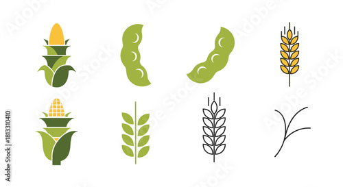 A set of agricultural icons including corn soybeans and wheat in both color and line art styles for farming and food design.