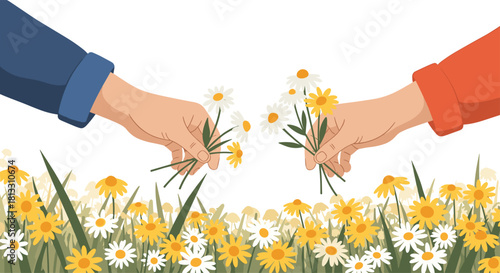 Two hands picking fresh chamomile and daisy flowers from a beautiful and vibrant meadow representing nature and connection.
