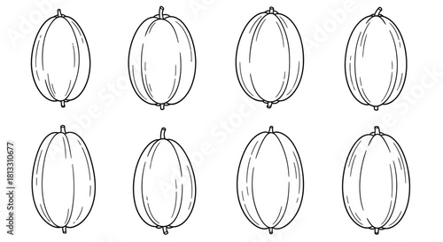 Hand drawn melon fruits isolated on white background in different positions