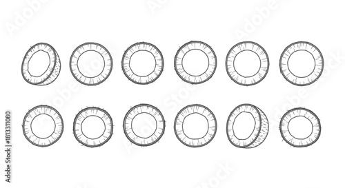 Hand drawn coconut slices isolated on white background in vector format