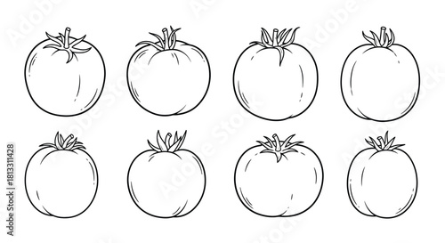 Row of tomatoes isolated on white background in hand drawn style