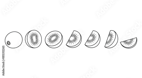 Hand drawn kiwi fruit slices isolated on white background in different positions