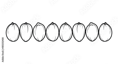 Collection of fresh coconut isolated on white background