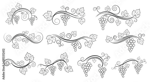 A large set of elegant black and white grapevine swirl designs perfect for creating vintage borders dividers and ornaments.