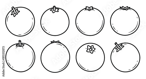 Hand drawn mandarin fruits isolated on white background in different shapes