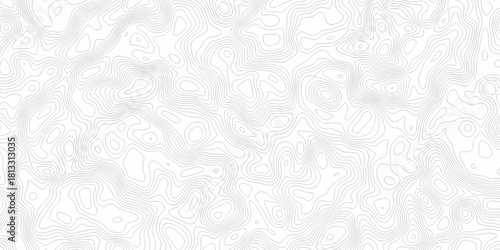 Minimal white line geometric grid outline curve counter map and wavy topography relief discovery area white, black line texture background.	