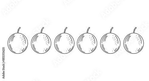 Row of six hand drawn passion fruits isolated on white background design element