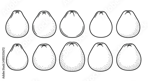 Collection of rose apple fruits isolated on white background in engraving style
