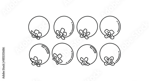 Mangosteen fruit line art isolated on white background in different positions