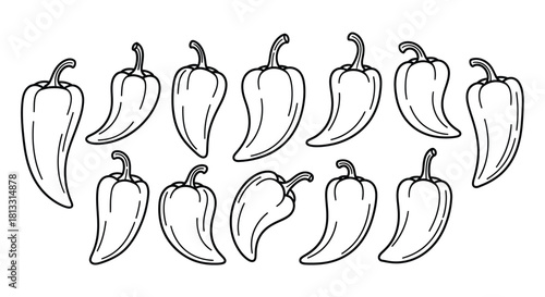 Set of chili peppers isolated on white background in hand drawn style